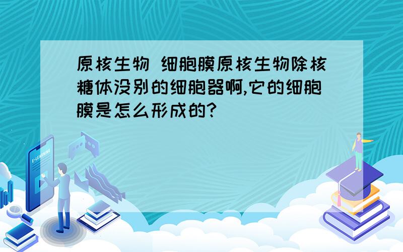 原核生物 细胞膜原核生物除核糖体没别的细胞器啊,它的细胞膜是怎么形成的?