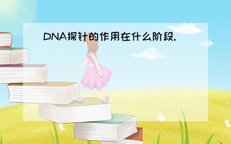 DNA探针的作用在什么阶段.