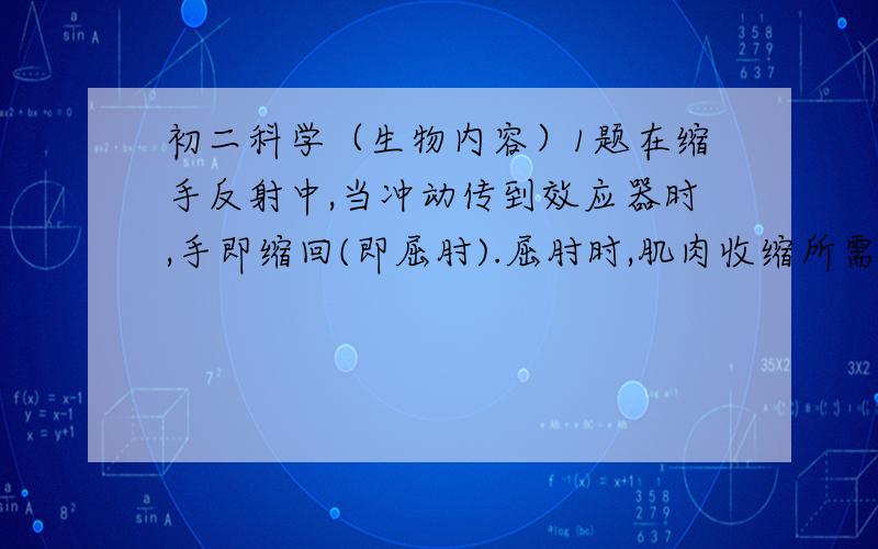 初二科学（生物内容）1题在缩手反射中,当冲动传到效应器时,手即缩回(即屈肘).屈肘时,肌肉收缩所需的能量来自肌细胞进行________作用,氧化分解_______物释放的能量.,手臂收缩的肌肉是___(填