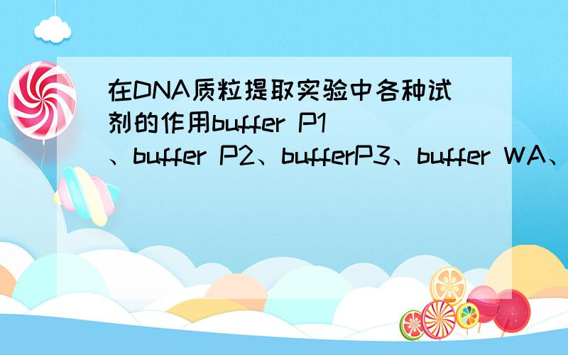 在DNA质粒提取实验中各种试剂的作用buffer P1 、buffer P2、bufferP3、buffer WA、buffer WB、TE 各自的作用...