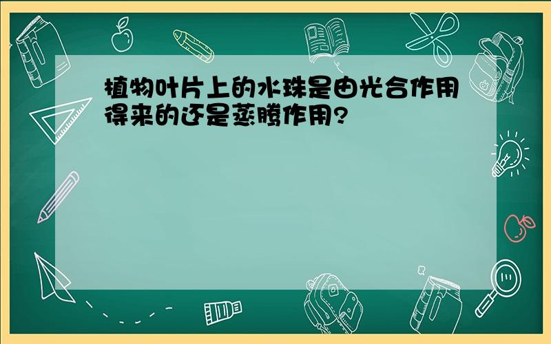 植物叶片上的水珠是由光合作用得来的还是蒸腾作用?