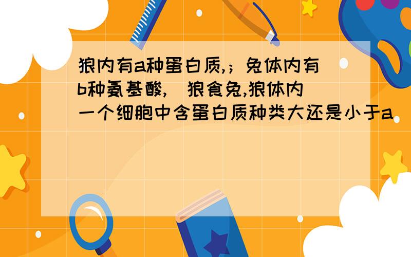 狼内有a种蛋白质,；兔体内有b种氨基酸,．狼食兔,狼体内一个细胞中含蛋白质种类大还是小于a