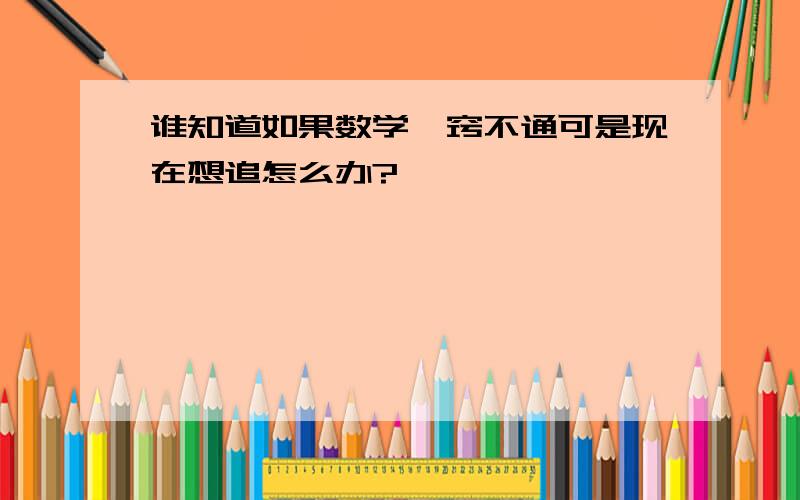 谁知道如果数学一窍不通可是现在想追怎么办?