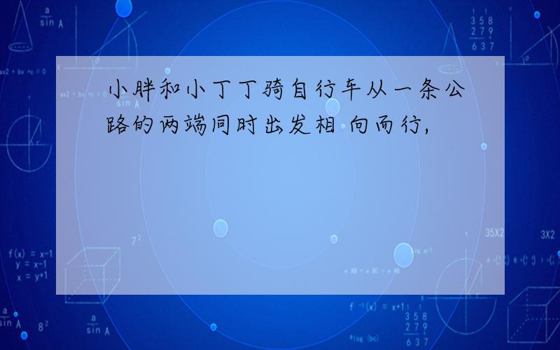 小胖和小丁丁骑自行车从一条公路的两端同时出发相 向而行,