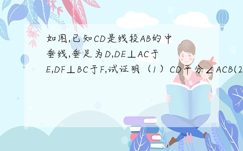 如图,已知CD是线段AB的中垂线,垂足为D,DE⊥AC于E,DF⊥BC于F,试证明（1）CD平分∠ACB(2）DE=DF（3)AE=BF