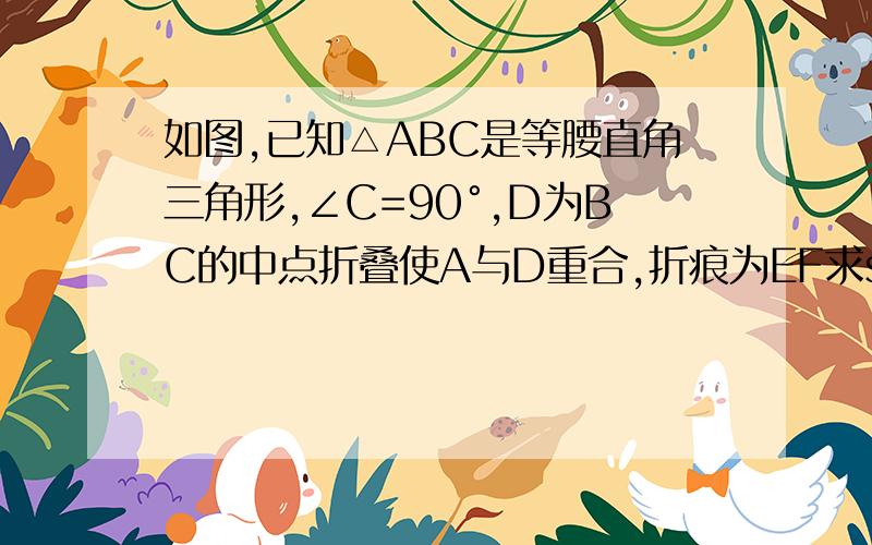 如图,已知△ABC是等腰直角三角形,∠C=90°,D为BC的中点折叠使A与D重合,折痕为EF求sin∠DEF的值?