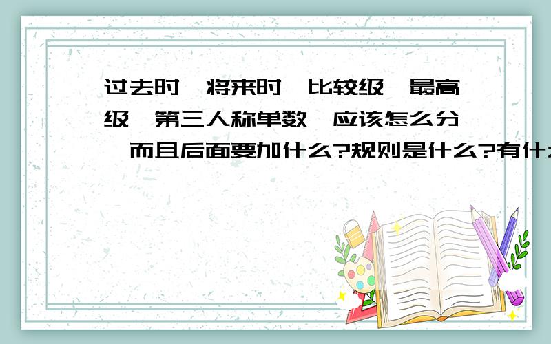 过去时,将来时,比较级,最高级,第三人称单数,应该怎么分,而且后面要加什么?规则是什么?有什么区别?