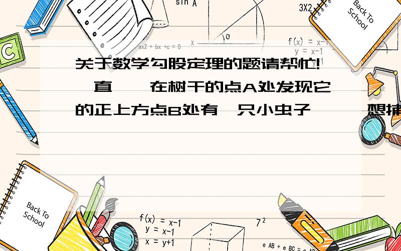 关于数学勾股定理的题请帮忙!一直螳螂在树干的点A处发现它的正上方点B处有一只小虫子,螳螂想捕到这只虫子但又怕被发现,于是绕到虫子后面吃掉它,已知树干的半径为40cm,A,B两点的距离为18