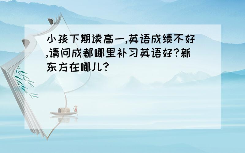 小孩下期读高一,英语成绩不好,请问成都哪里补习英语好?新东方在哪儿?