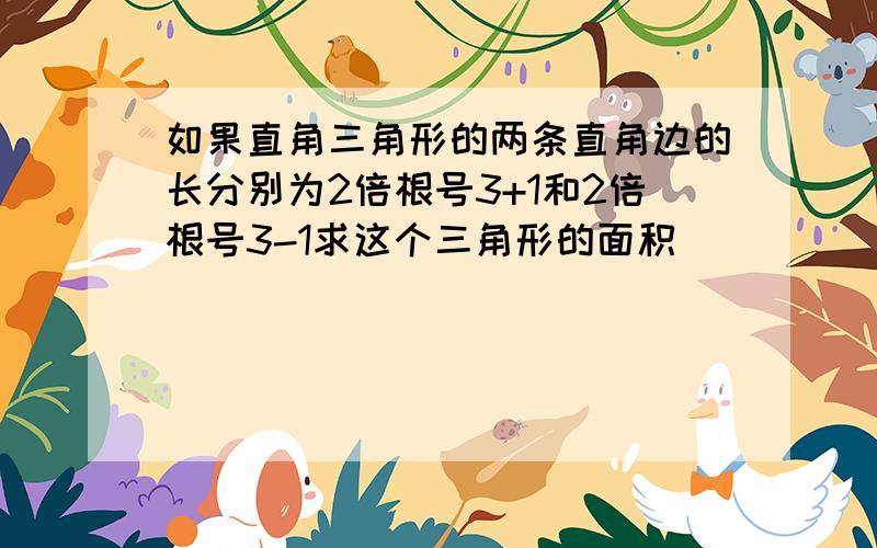 如果直角三角形的两条直角边的长分别为2倍根号3+1和2倍根号3-1求这个三角形的面积