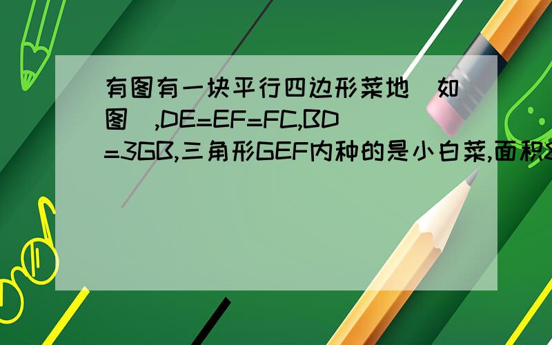 有图有一块平行四边形菜地（如图）,DE=EF=FC,BD=3GB,三角形GEF内种的是小白菜,面积8平方米,求这块大平行四边形菜地的面积是多少平方米.