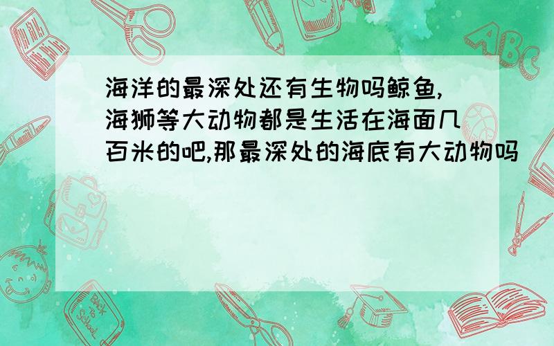 海洋的最深处还有生物吗鲸鱼,海狮等大动物都是生活在海面几百米的吧,那最深处的海底有大动物吗