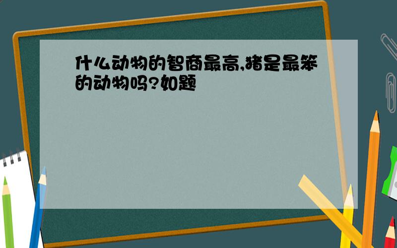 什么动物的智商最高,猪是最笨的动物吗?如题