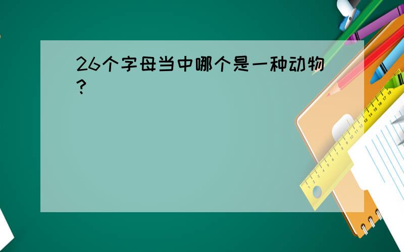 26个字母当中哪个是一种动物?