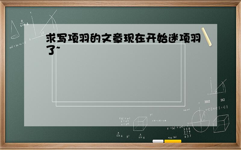 求写项羽的文章现在开始迷项羽了~