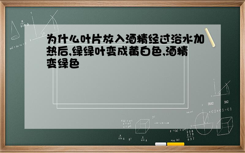 为什么叶片放入酒精经过浴水加热后,绿绿叶变成黄白色,酒精变绿色