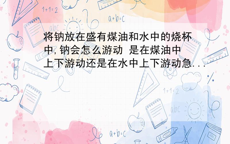 将钠放在盛有煤油和水中的烧杯中,钠会怎么游动 是在煤油中上下游动还是在水中上下游动急...