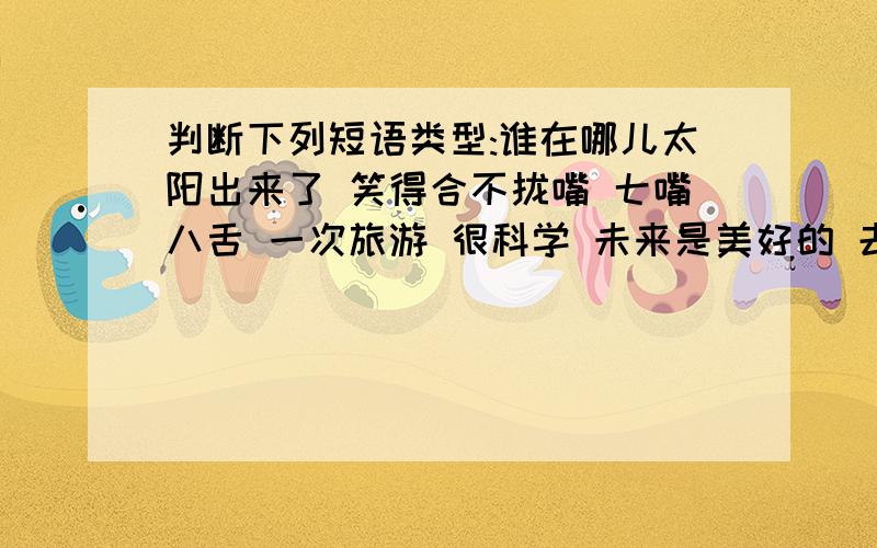 判断下列短语类型:谁在哪儿太阳出来了 笑得合不拢嘴 七嘴八舌 一次旅游 很科学 未来是美好的 去了一趟 难过的哭了 下雪的时候 非常小心 科学领域 一斤花生 亭台轩榭 祖国万岁 告诉你一