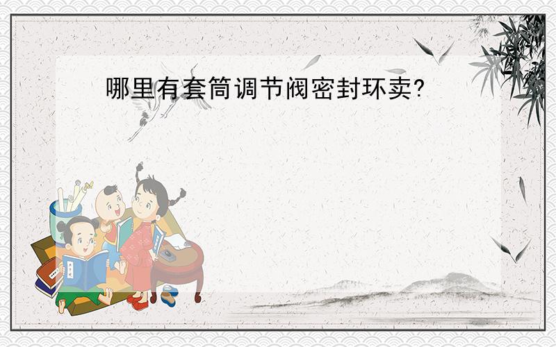 哪里有套筒调节阀密封环卖?