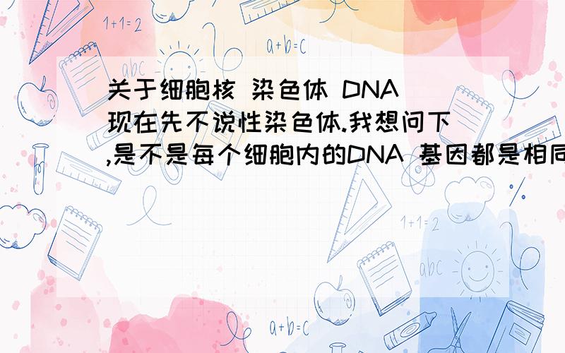 关于细胞核 染色体 DNA 现在先不说性染色体.我想问下,是不是每个细胞内的DNA 基因都是相同的?那么,每个细胞核里面有多少染色体?每条染色体上有多少基因呢?染色体和基因都是成对存在的吗