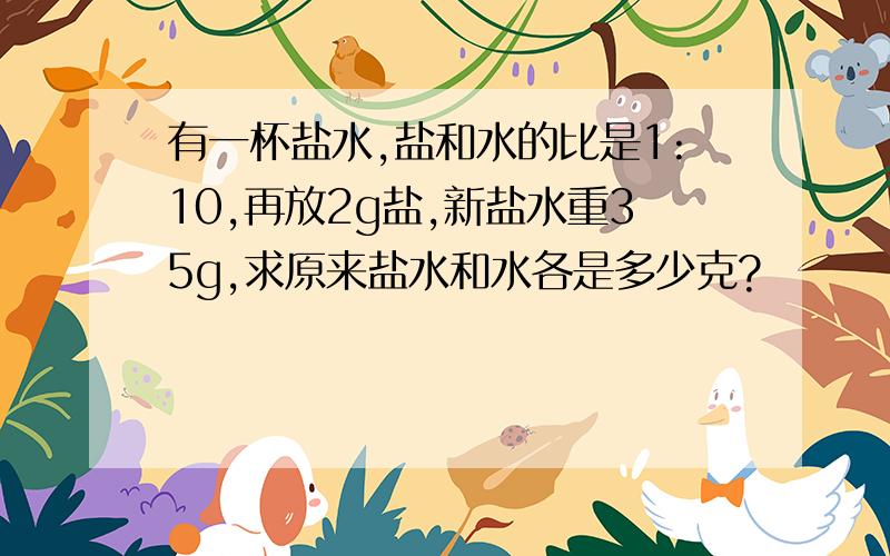 有一杯盐水,盐和水的比是1:10,再放2g盐,新盐水重35g,求原来盐水和水各是多少克?