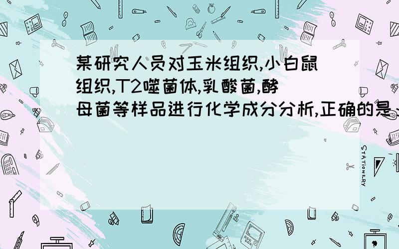 某研究人员对玉米组织,小白鼠组织,T2噬菌体,乳酸菌,酵母菌等样品进行化学成分分析,正确的是：①含有水、DNA、RNA、糖原、蛋白质等成分的样品是小白鼠组织②只含有蛋白质和DNA成分的样品