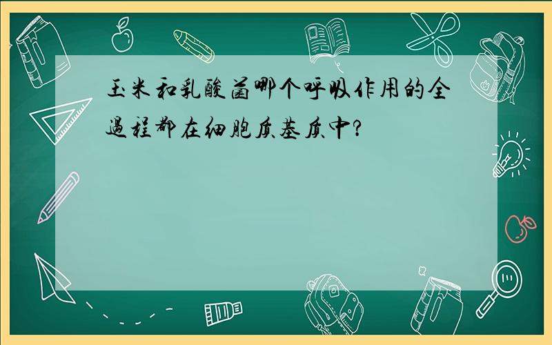 玉米和乳酸菌哪个呼吸作用的全过程都在细胞质基质中?