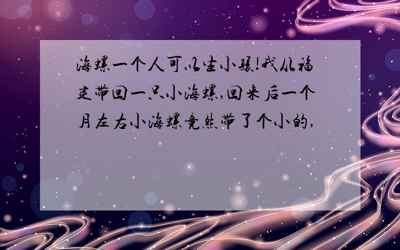 海螺一个人可以生小孩!我从福建带回一只小海螺,回来后一个月左右小海螺竟然带了个小的,