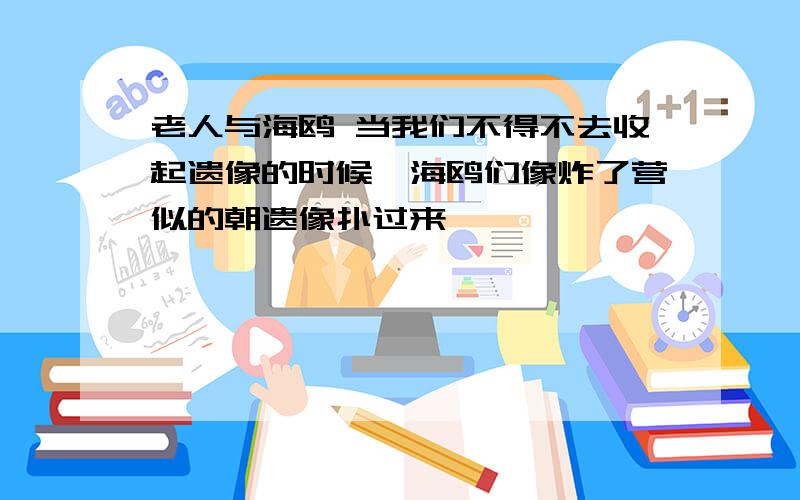 老人与海鸥 当我们不得不去收起遗像的时候,海鸥们像炸了营似的朝遗像扑过来