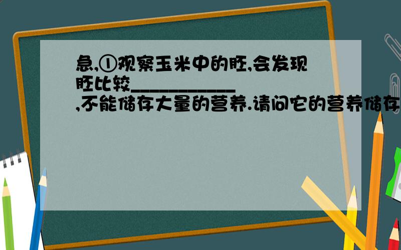 急,①观察玉米中的胚,会发现胚比较___________,不能储存大量的营养.请问它的营养储存在哪里呢?.提示：遇碘变成蓝色是淀粉的特性.在剖面上滴一滴碘液,再用放大镜仔细观察剖面,看看有何发