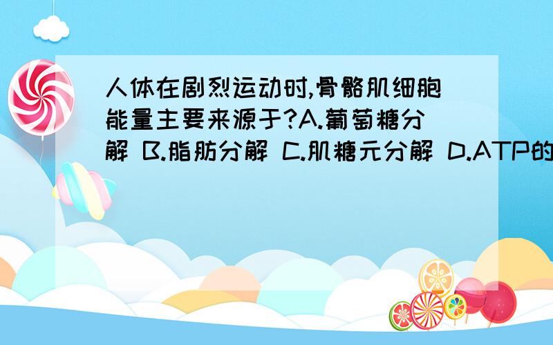 人体在剧烈运动时,骨骼肌细胞能量主要来源于?A.葡萄糖分解 B.脂肪分解 C.肌糖元分解 D.ATP的分解