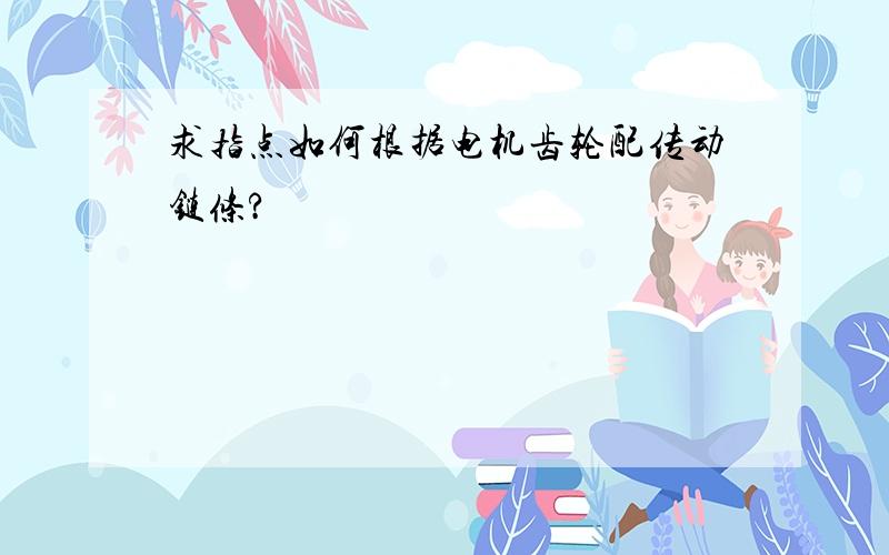 求指点如何根据电机齿轮配传动链条?