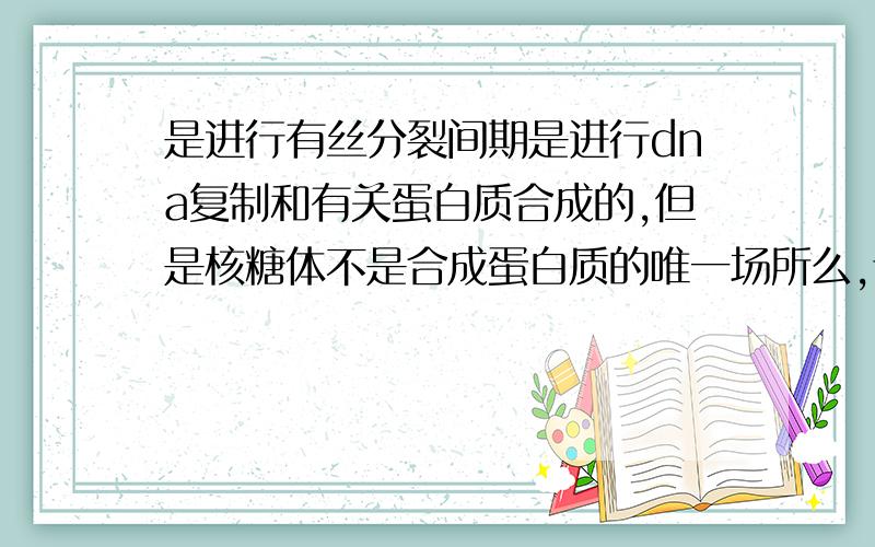 是进行有丝分裂间期是进行dna复制和有关蛋白质合成的,但是核糖体不是合成蛋白质的唯一场所么,谁能够告诉我在细胞核中的蛋白质是怎么合成的