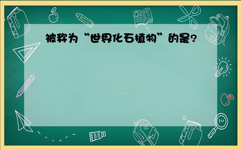 被称为“世界化石植物”的是?