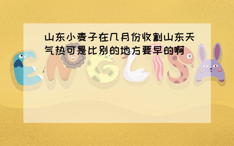 山东小麦子在几月份收割山东天气热可是比别的地方要早的啊