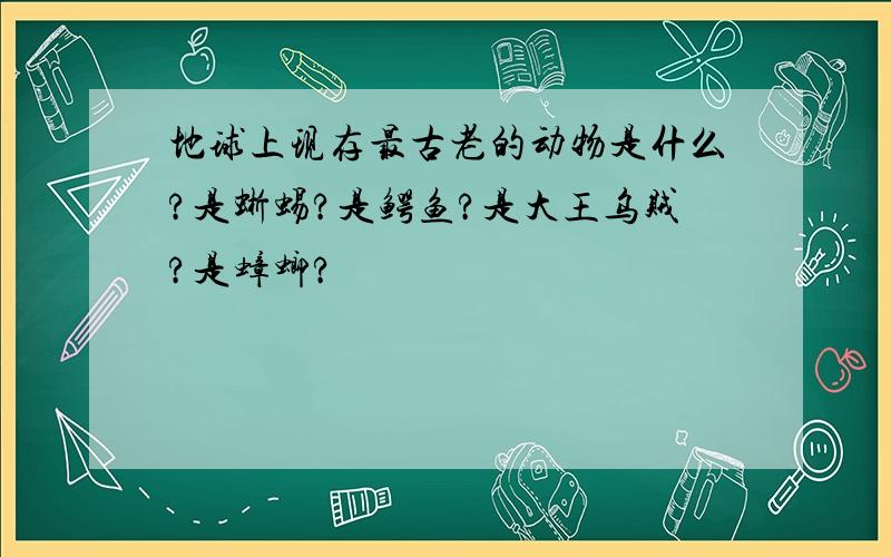 地球上现存最古老的动物是什么?是蜥蜴?是鳄鱼?是大王乌贼?是蟑螂?