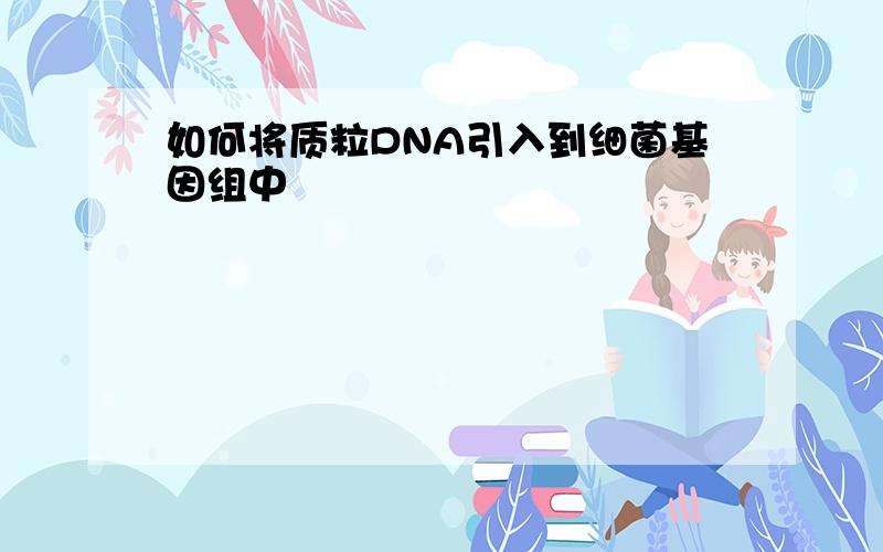 如何将质粒DNA引入到细菌基因组中