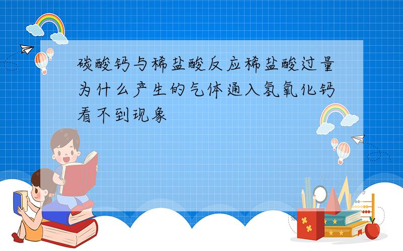 碳酸钙与稀盐酸反应稀盐酸过量为什么产生的气体通入氢氧化钙看不到现象