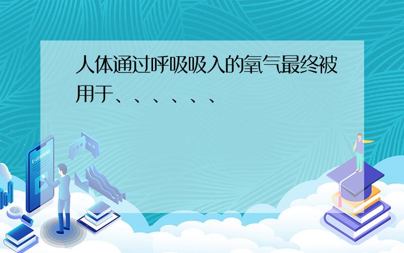 人体通过呼吸吸入的氧气最终被用于、、、、、、