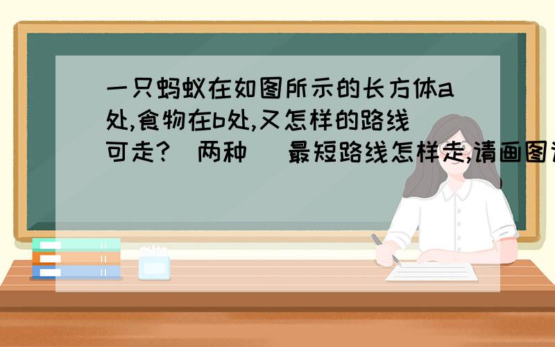 一只蚂蚁在如图所示的长方体a处,食物在b处,又怎样的路线可走?（两种） 最短路线怎样走,请画图说明理由····