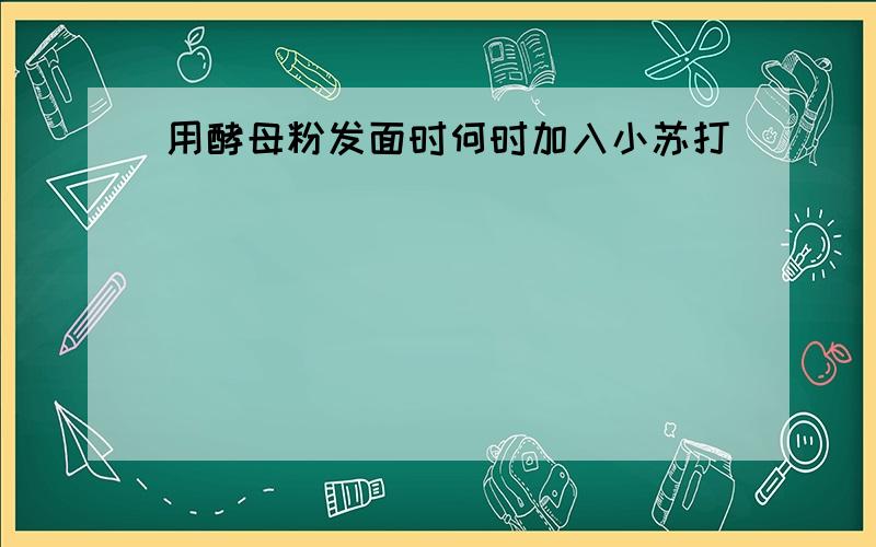 用酵母粉发面时何时加入小苏打