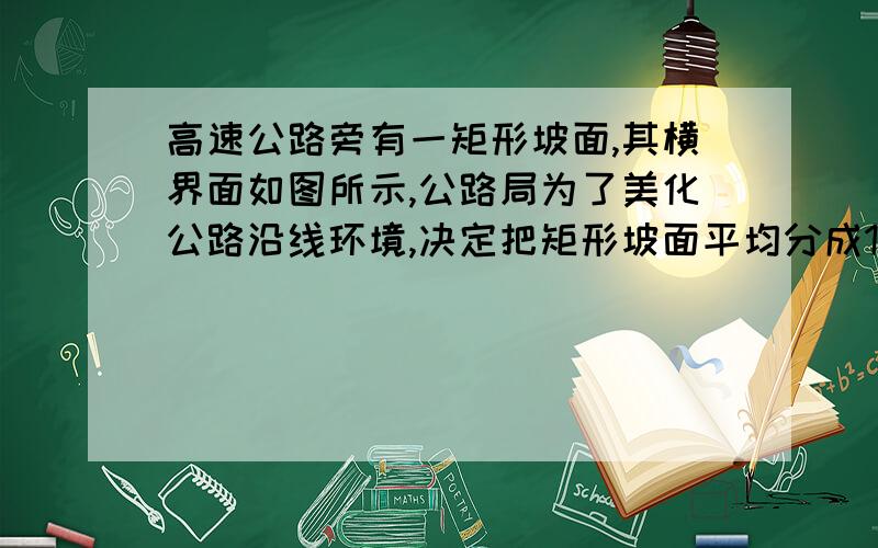 高速公路旁有一矩形坡面,其横界面如图所示,公路局为了美化公路沿线环境,决定把矩形坡面平均分成11段相间的区域种草或栽花,已知该矩形坡面的长为550m,铅直高度AB=2m,坡度为2:1,若种草每平