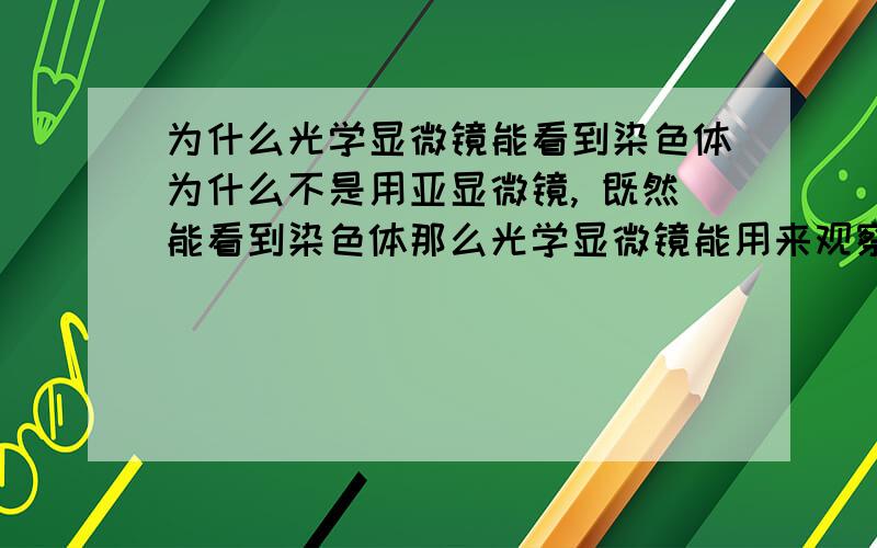 为什么光学显微镜能看到染色体为什么不是用亚显微镜, 既然能看到染色体那么光学显微镜能用来观察细胞器吗