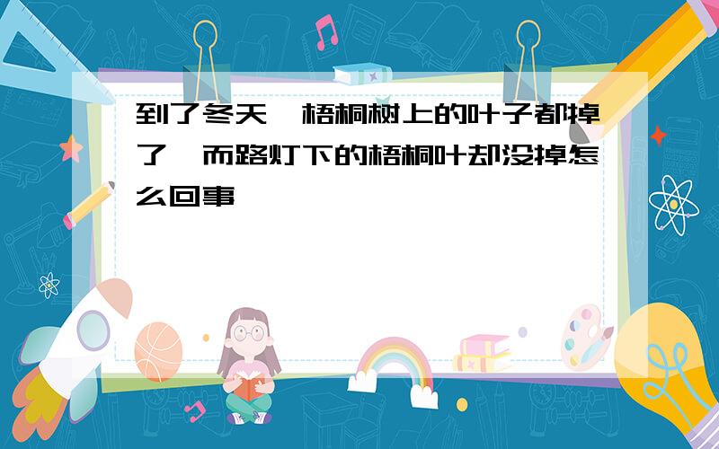 到了冬天,梧桐树上的叶子都掉了,而路灯下的梧桐叶却没掉怎么回事