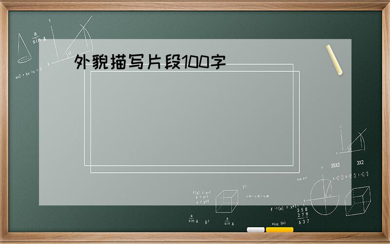 外貌描写片段100字