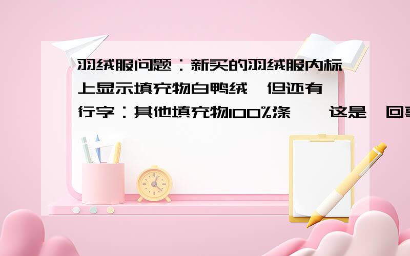 羽绒服问题：新买的羽绒服内标上显示填充物白鸭绒,但还有一行字：其他填充物100%涤纶,这是咋回事内标上显示填充物：白鸭绒        含量：90%白鸭绒10%羽毛   其他填充物：100%涤纶    这件羽