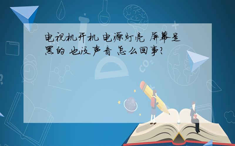 电视机开机 电源灯亮 屏幕是黑的 也没声音 怎么回事?