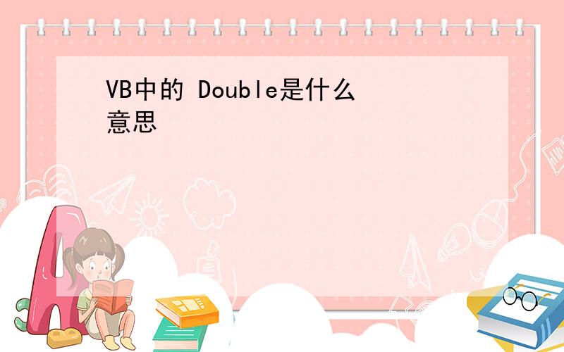 VB中的 Double是什么意思