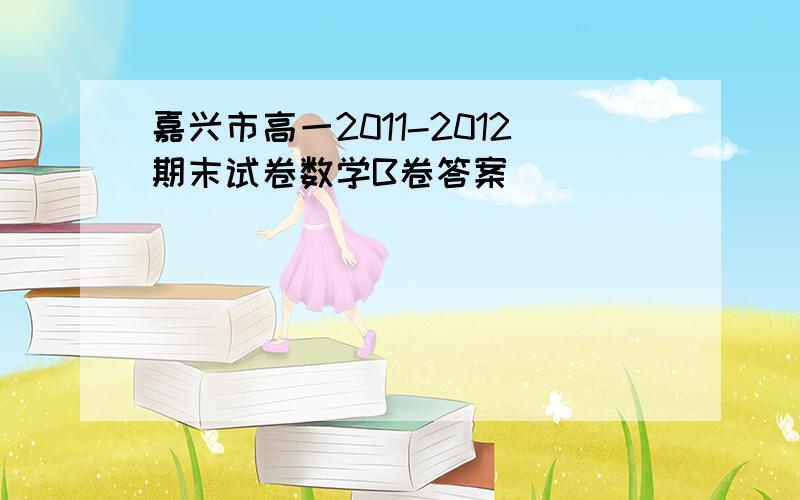 嘉兴市高一2011-2012期末试卷数学B卷答案