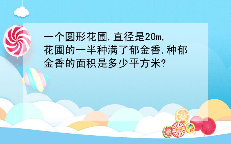 一个圆形花圃,直径是20m,花圃的一半种满了郁金香,种郁金香的面积是多少平方米?